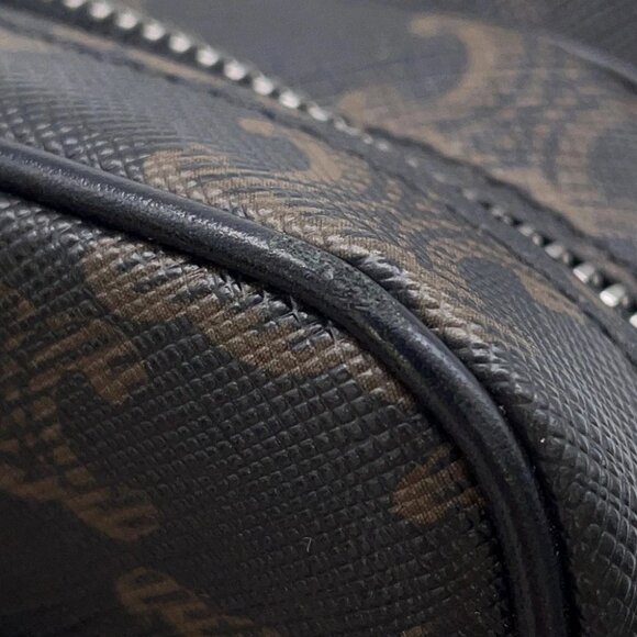 CELINE Triomphe Multi-Pocket Crossbody Bag PVC/Leather Brown/Black 111632EU1 - Picture 4 of 13